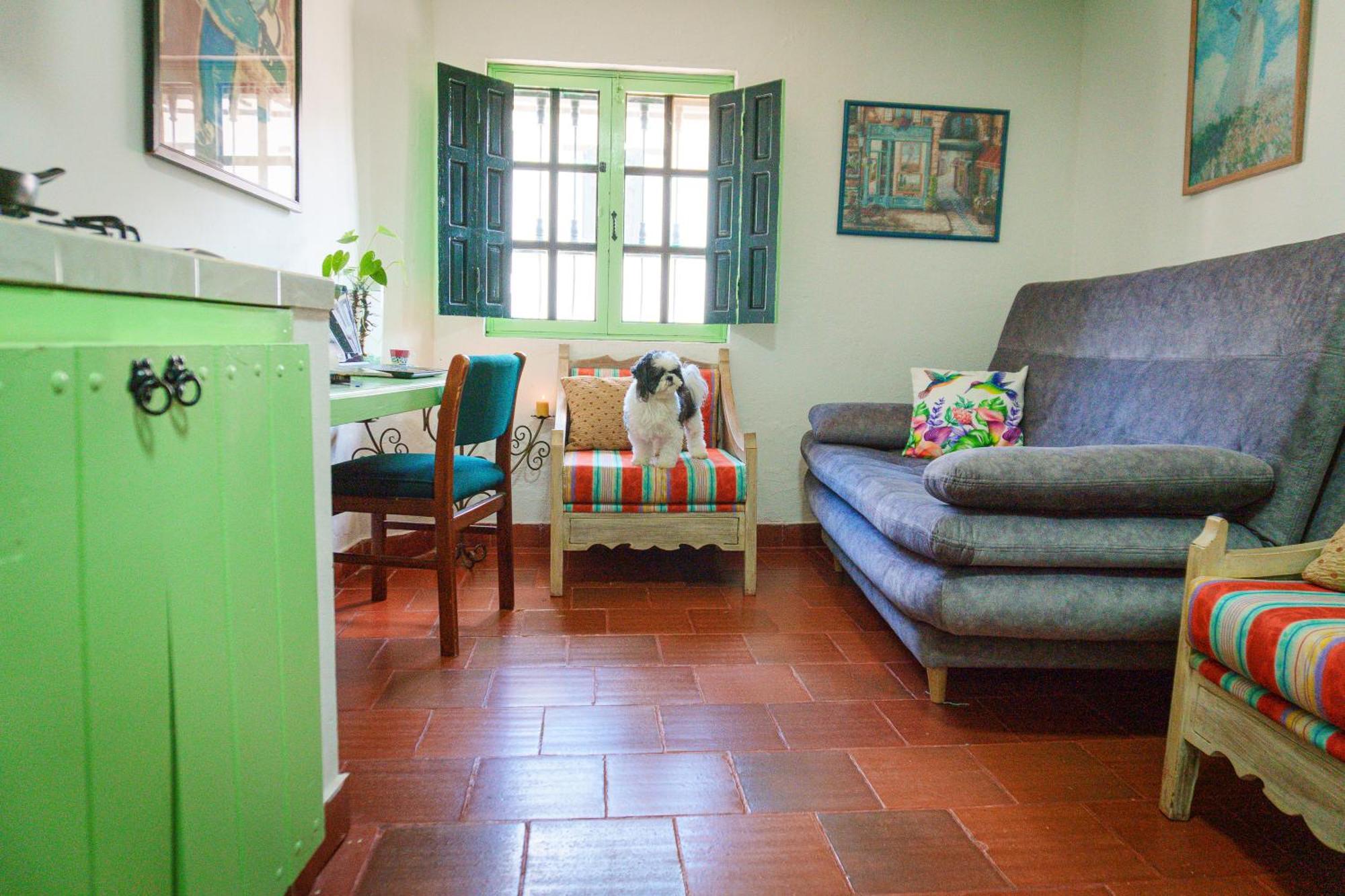 Apartamentos Y Habitaciones Le Colibri - Villa De Leyva Eksteriør billede